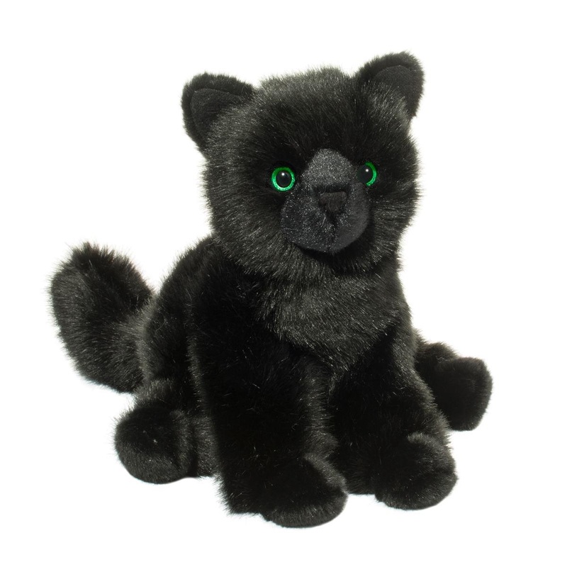 Chat Noir Salem