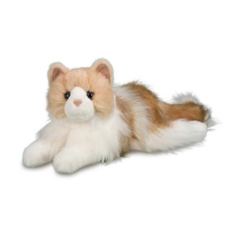 Chat Ragdoll Kiki