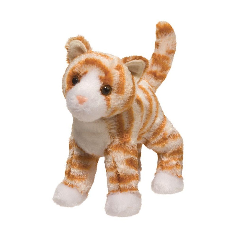 Chaton Ray Orange Hally