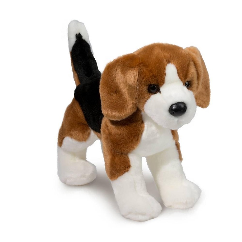 Chien Beagle Bernie