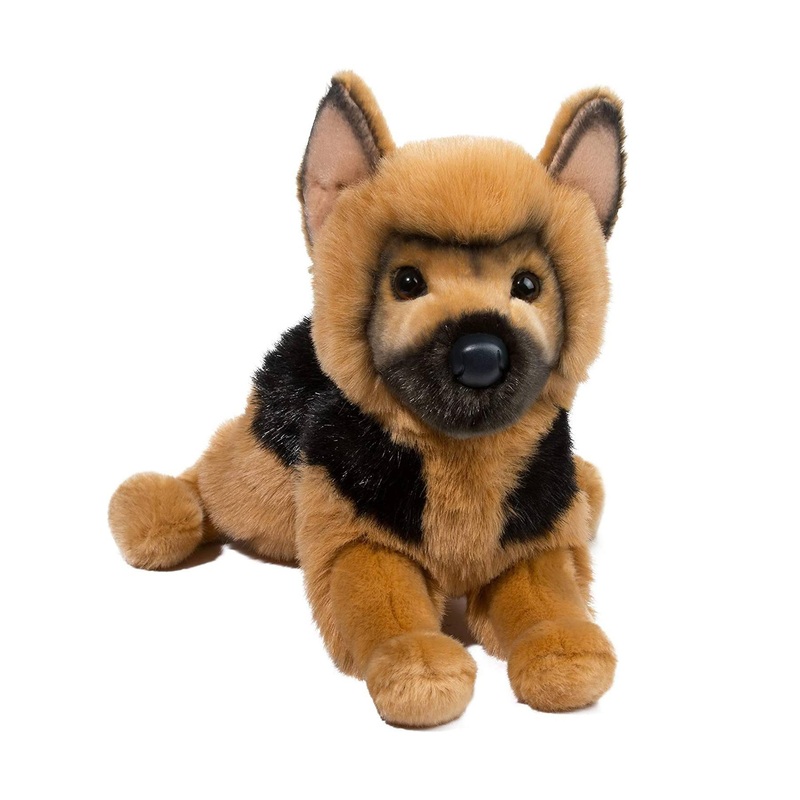 Chien Berger Allemand General