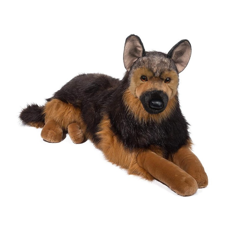 Chien Berger Allemand Major
