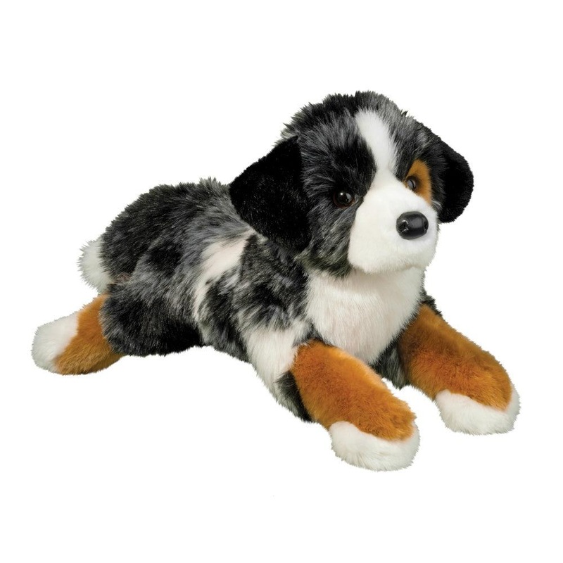 Chien Berger Australien Maizie
