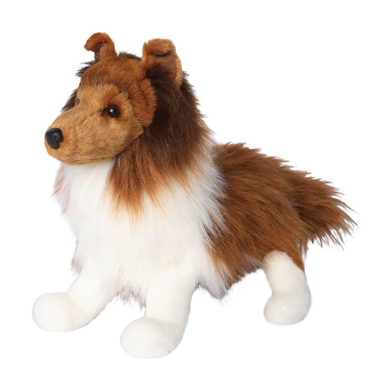 Chien Berger des Shetland Whisper