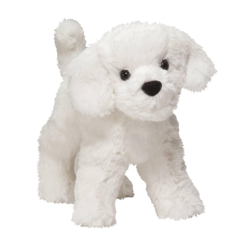 Chien Bichon Dandelion Puff