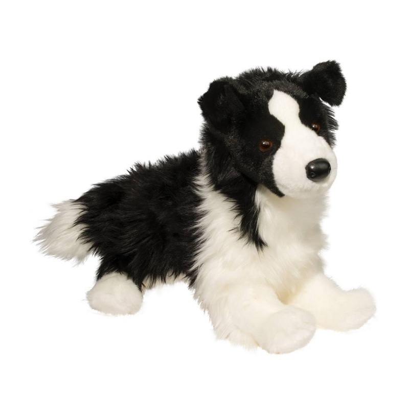 Chien Border Collie Chase