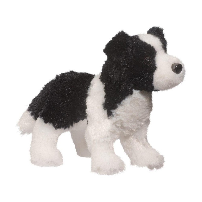 Chien Border Collie Meadow