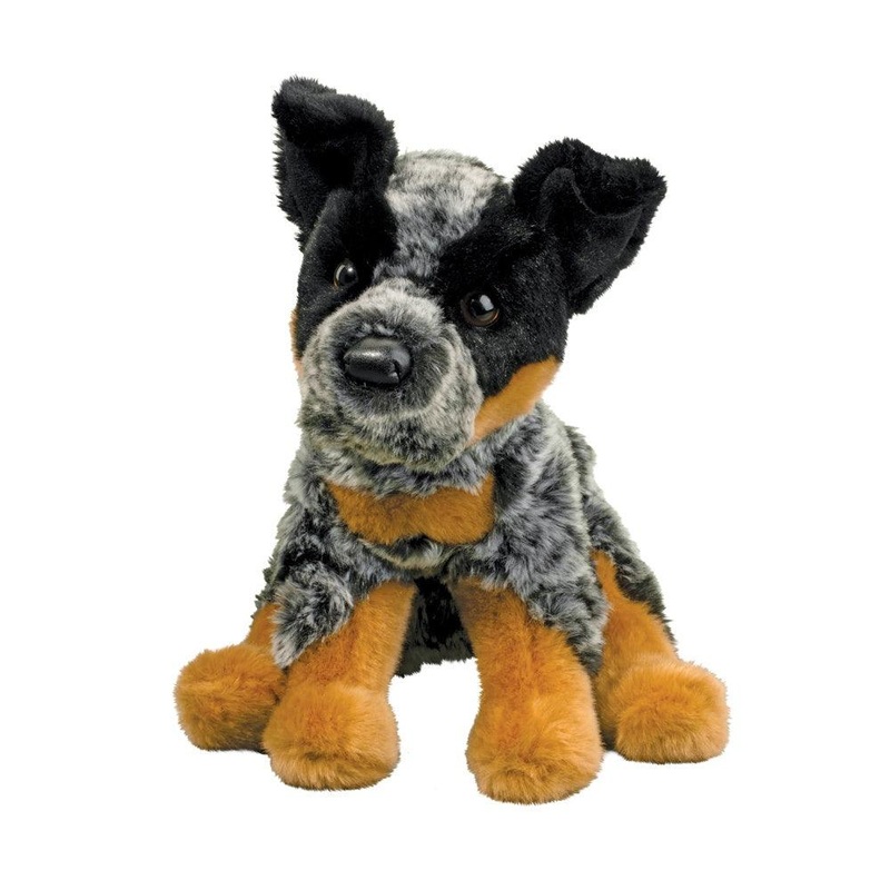 Chien Bouvier Australien Dexter