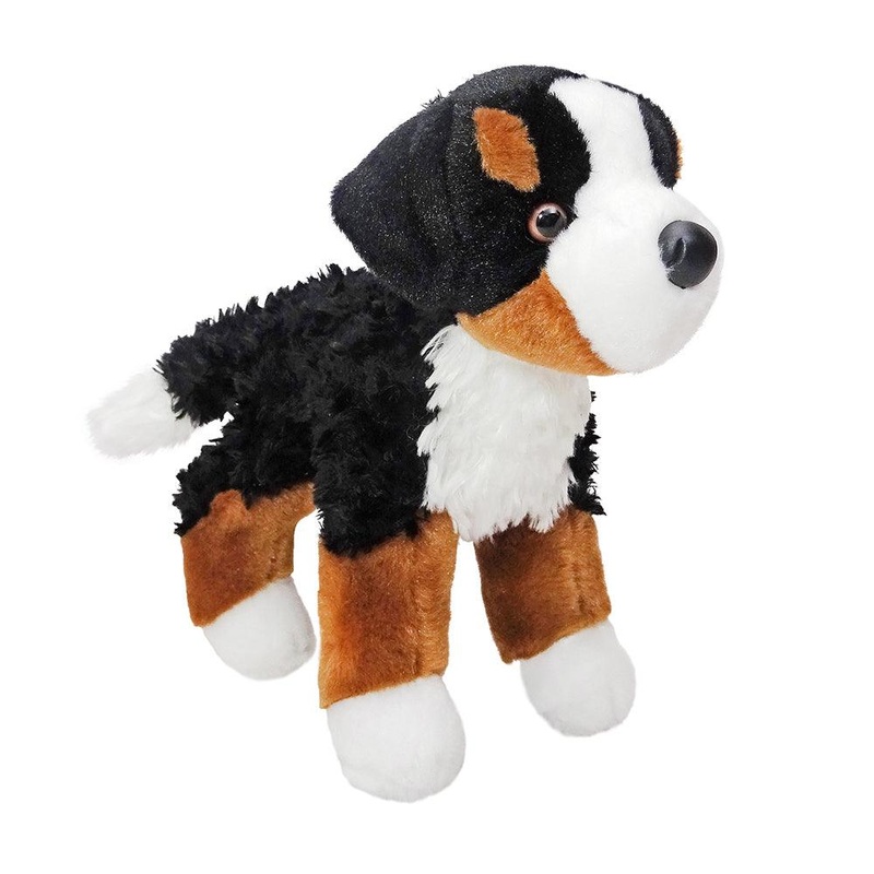 Chien Bouvier Bernois Miranda