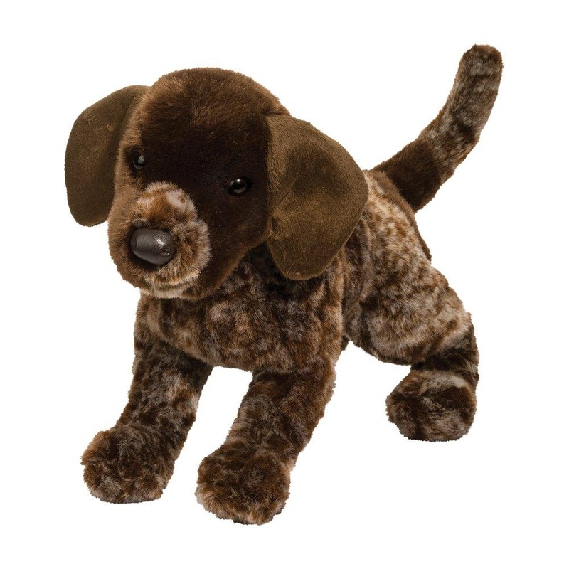 Chien Braque Allemand Wolfgang
