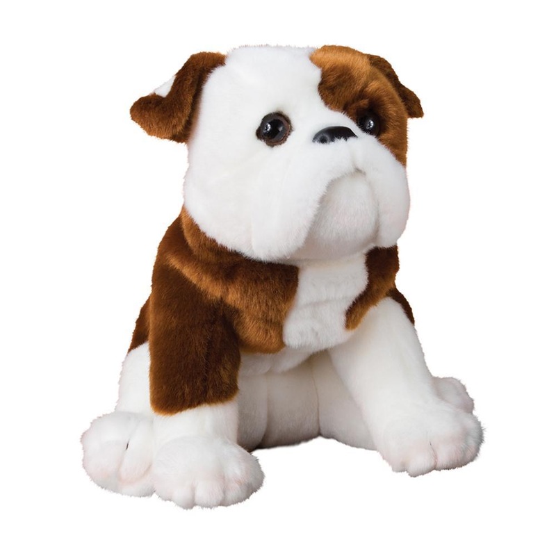 Chien Bulldog Hardy