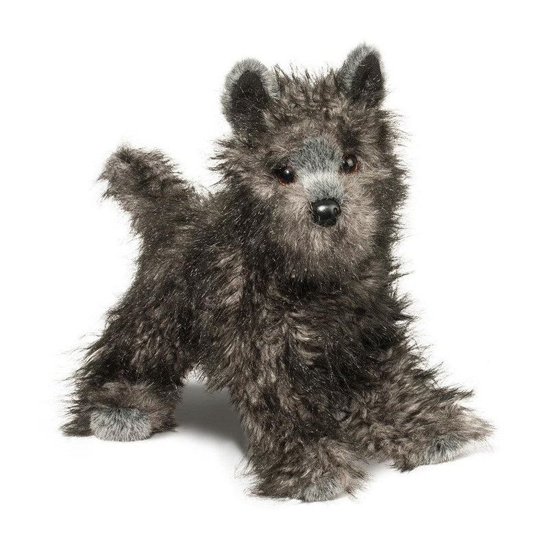 Chien Cairn Terrier Hazel