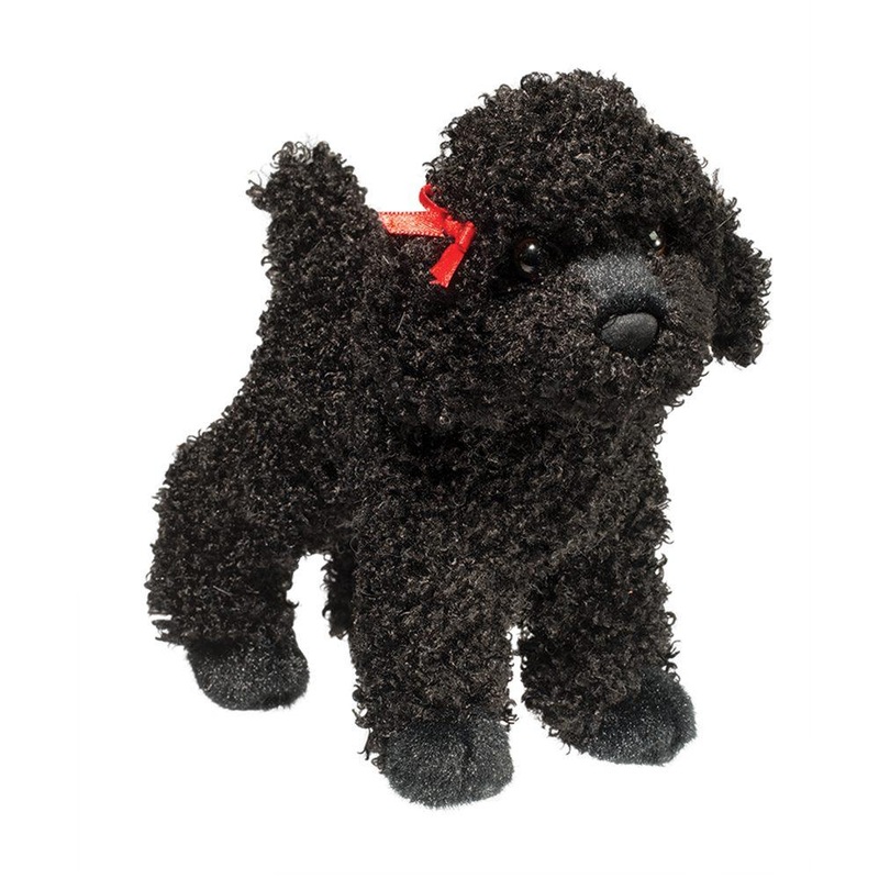 Chien Caniche Noir Gigi