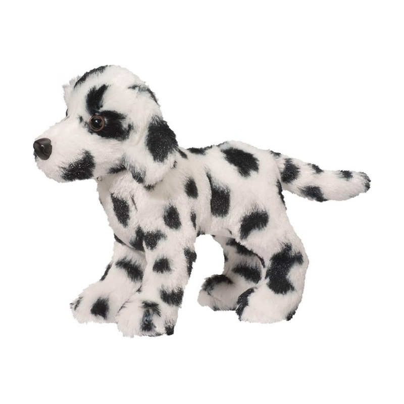 Chien Dalmatien Dooley