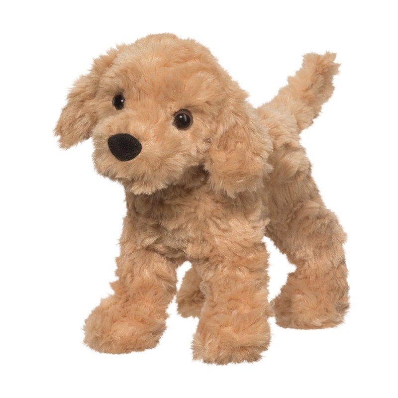 Chien Golden Retreiver Thatcher