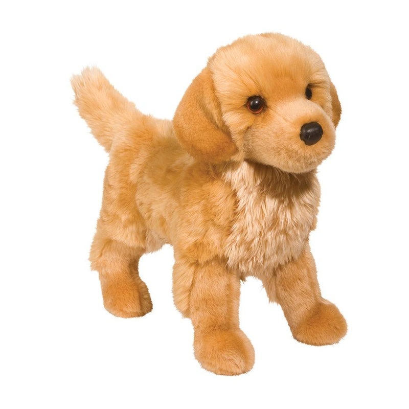 Chien Golden Retriever King