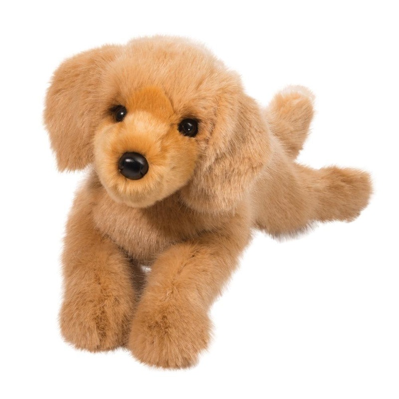 Chien Golden Retriever Oakley