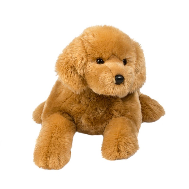 Chien Golden Retriever Sherman