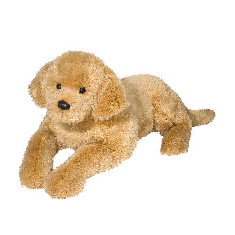 Chien Golden Retriever Sherman - Trs Large