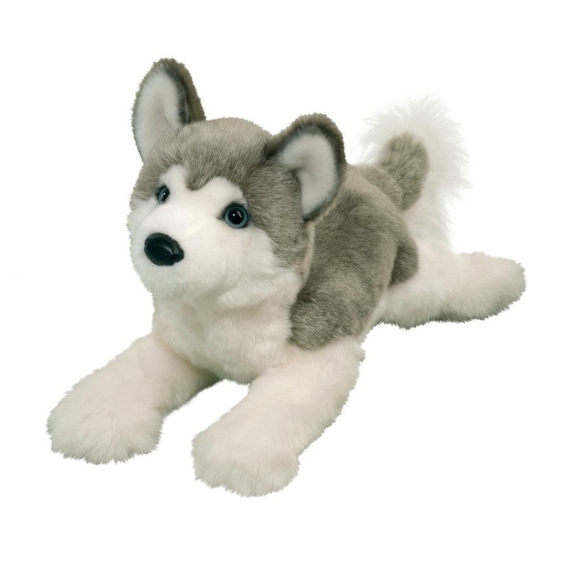 Chien Husky Geno