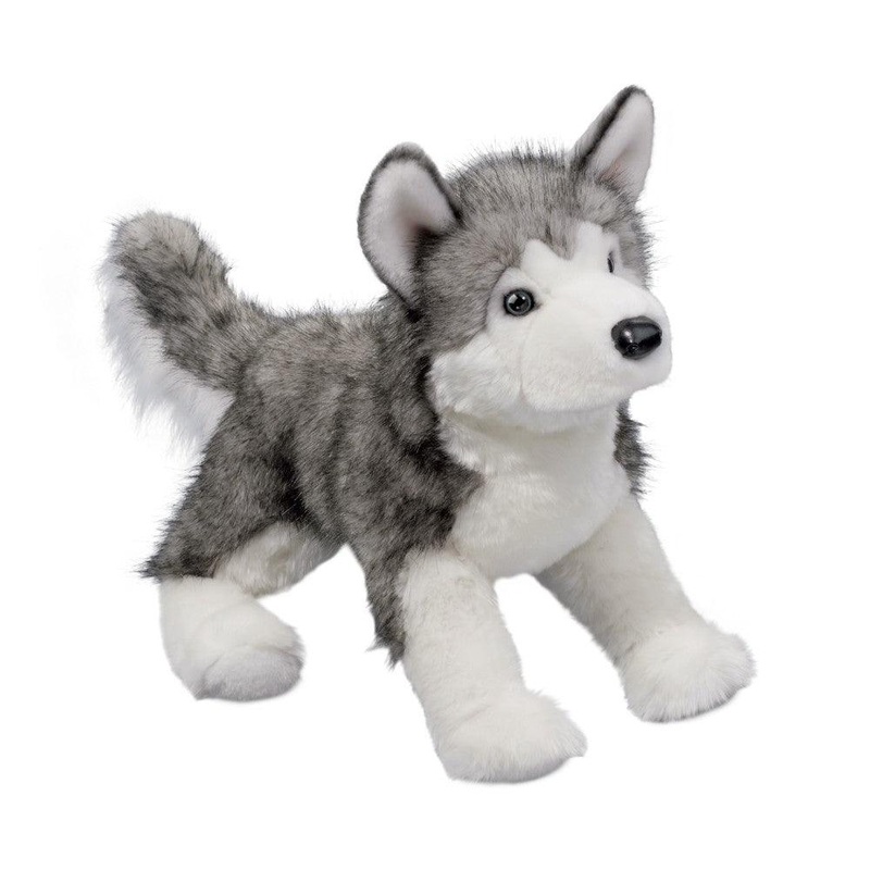 Chien Husky Lobo