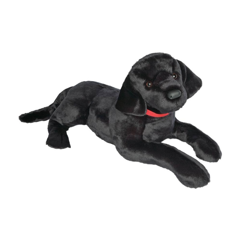 Chien Labrador Noir Dickens