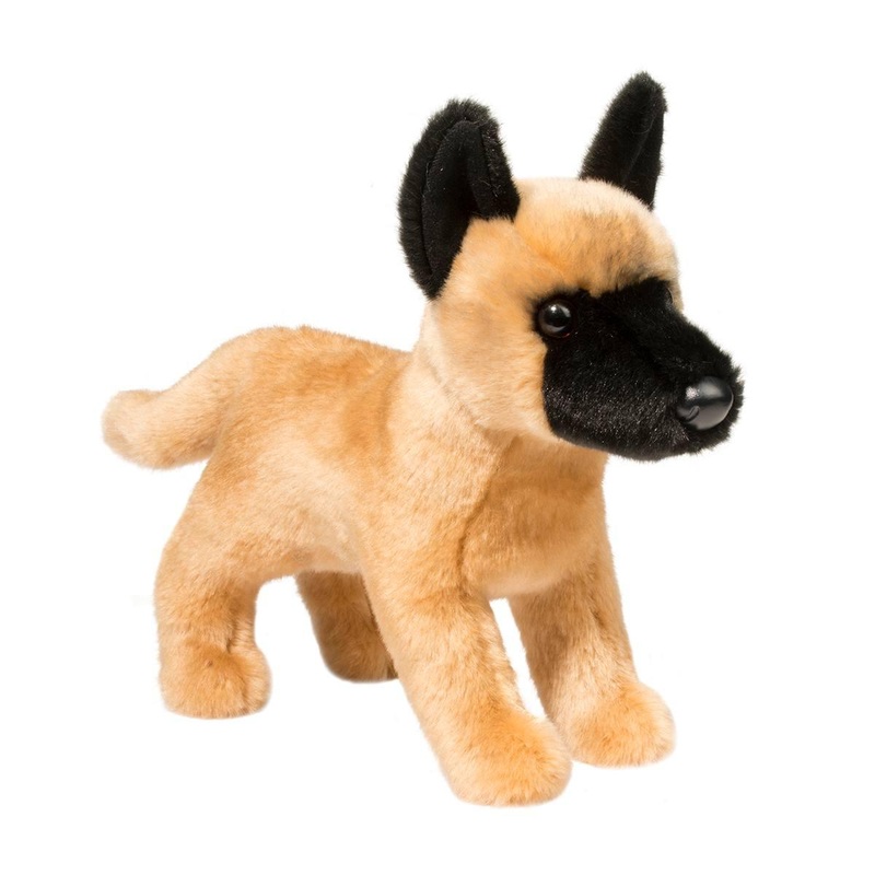Chien Malinois Klaus