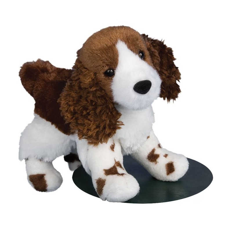 Chien pagneul Springer Anglais Flair