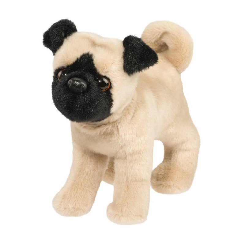 Chien Pug (Carlin) Hamilton