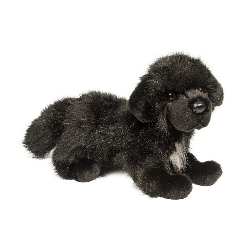 Chien Terre-Neuve Bundy