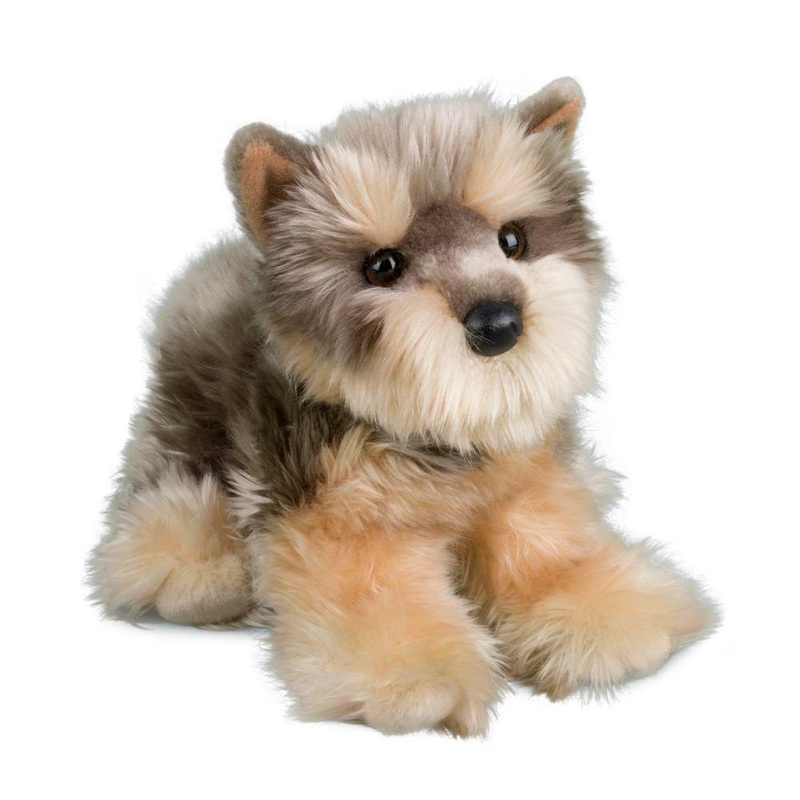 Chien Yorkshire Yettie