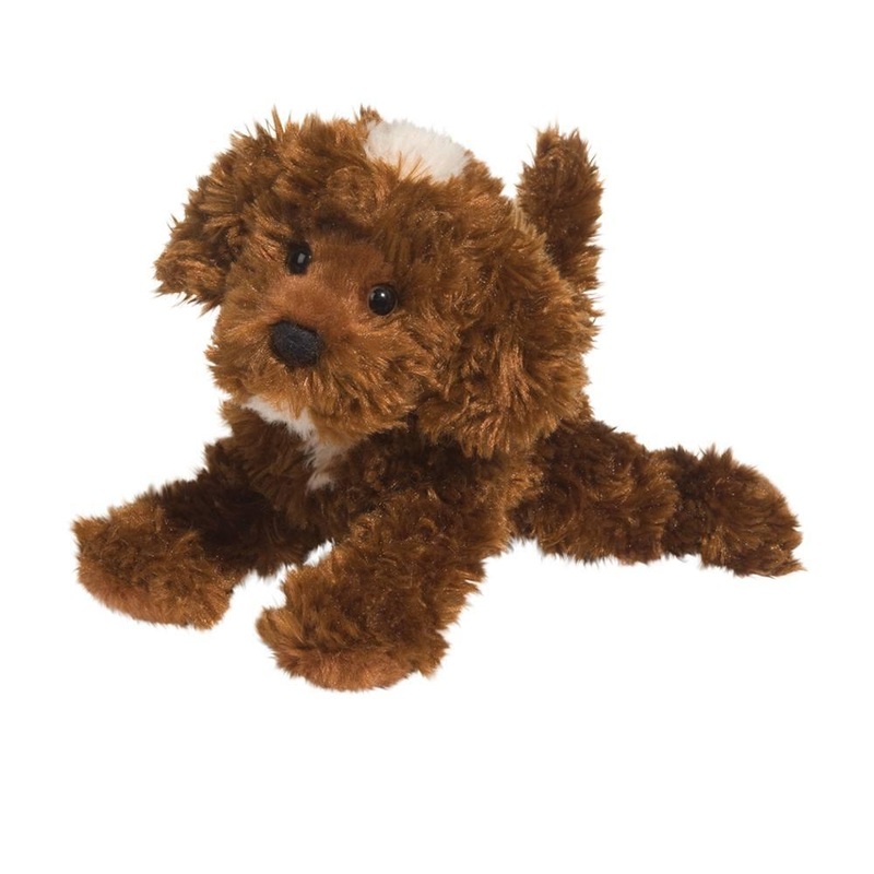 Chiot Labradoodle Chocolat Bosco