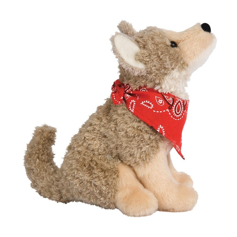 Coyote Trickster