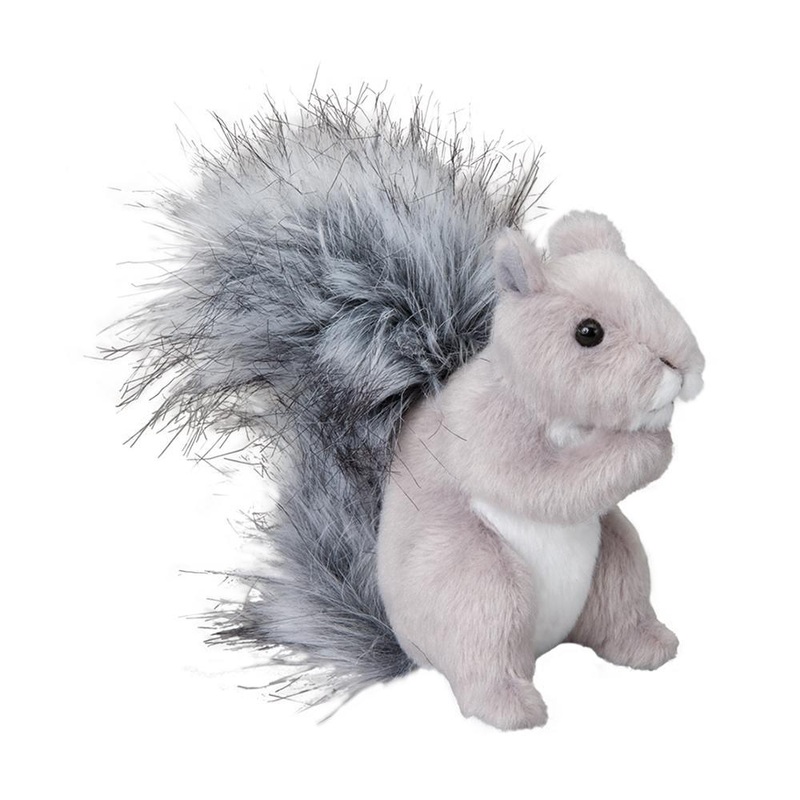 cureuil Gris Shasta