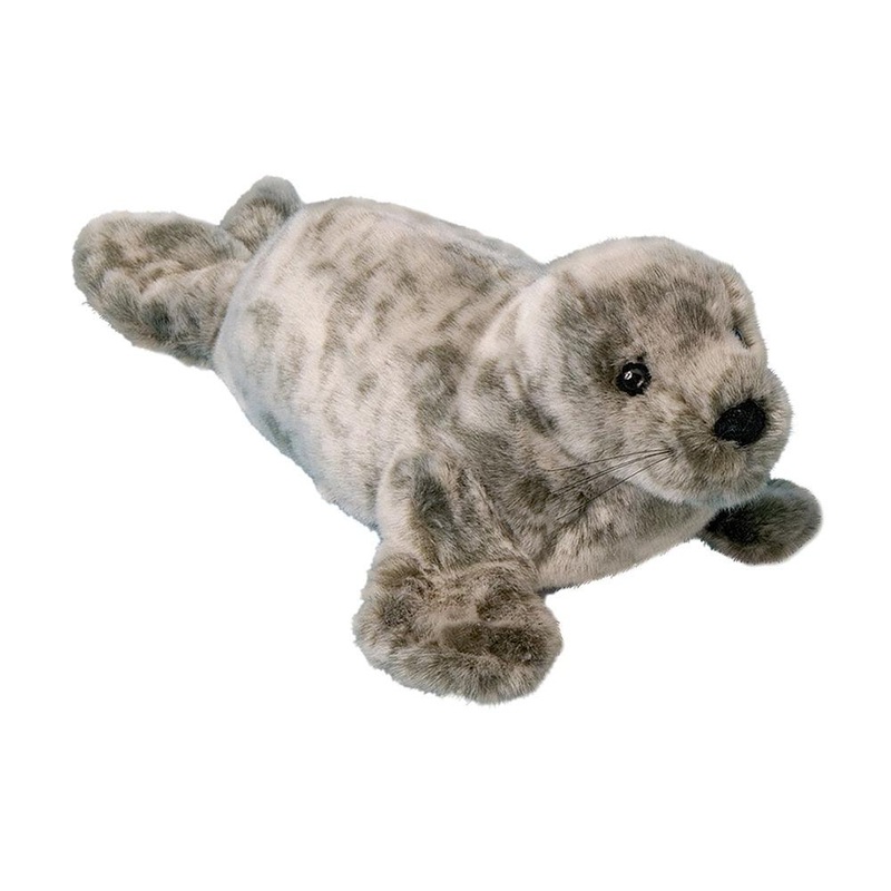 Phoque Moine Speckles