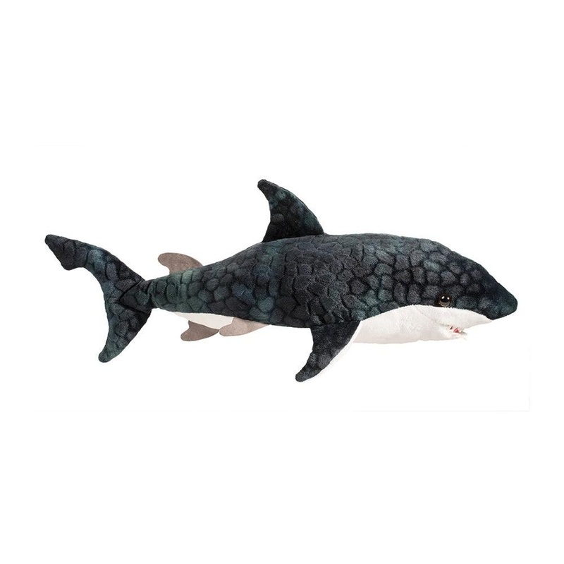 Requin Bleu Neptune