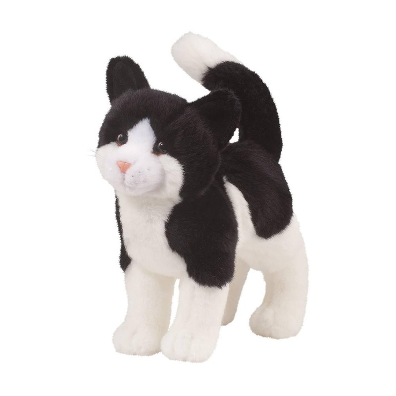 Chat Blanc & Noir Scooter