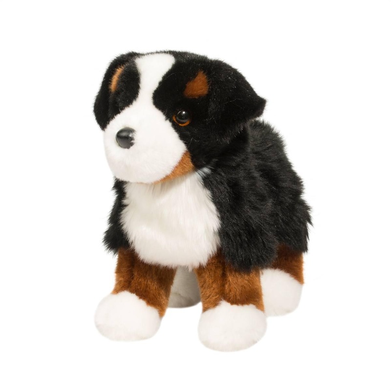 Chien Bouvier Bernois Stevie