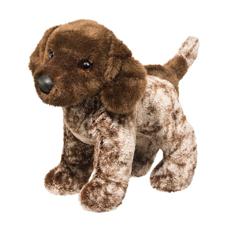 Chien Braque Allemand Ivan