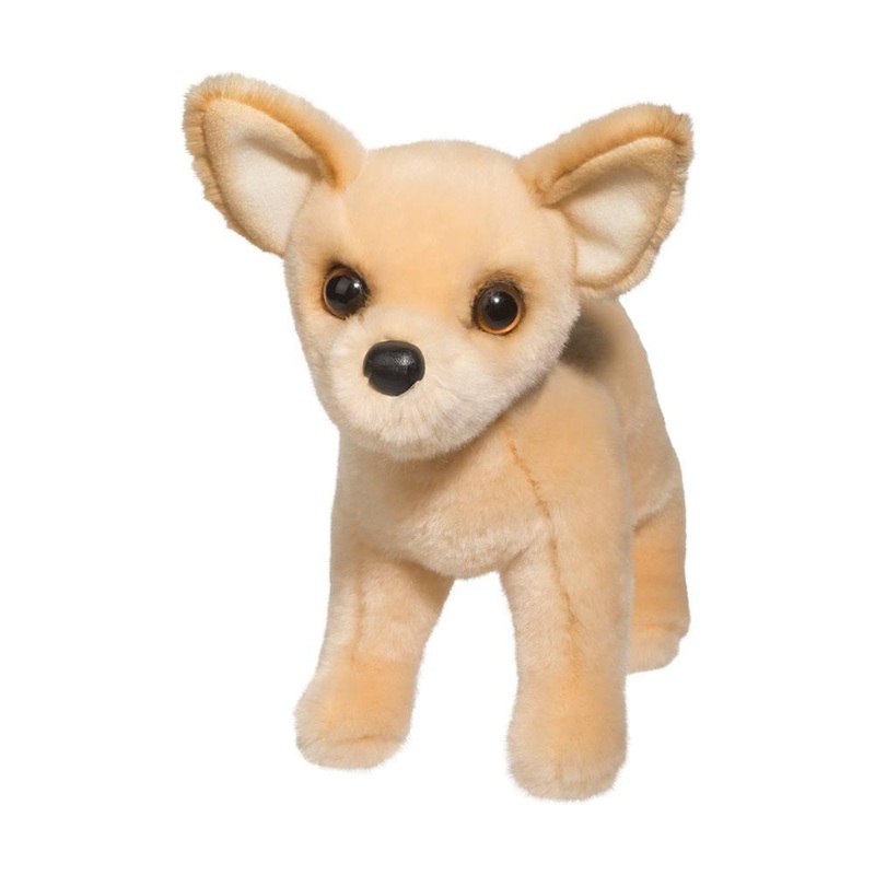 Chien Chihuahua Carlos