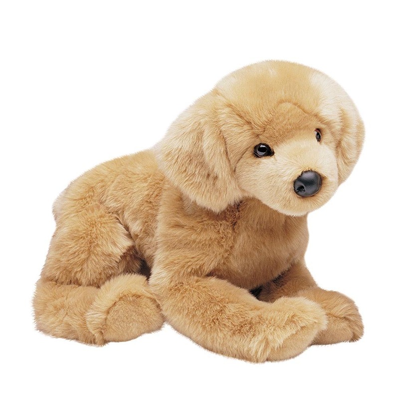 Chien Golden Retriever Honey
