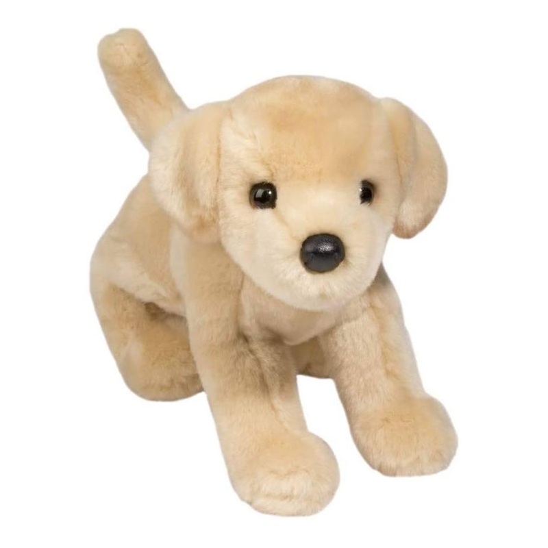 Chien Labrador Jaune Spankie