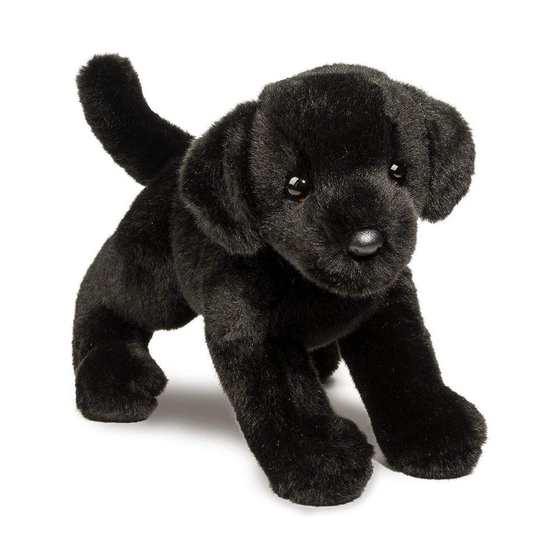 Chien Labrador Noir Brewster