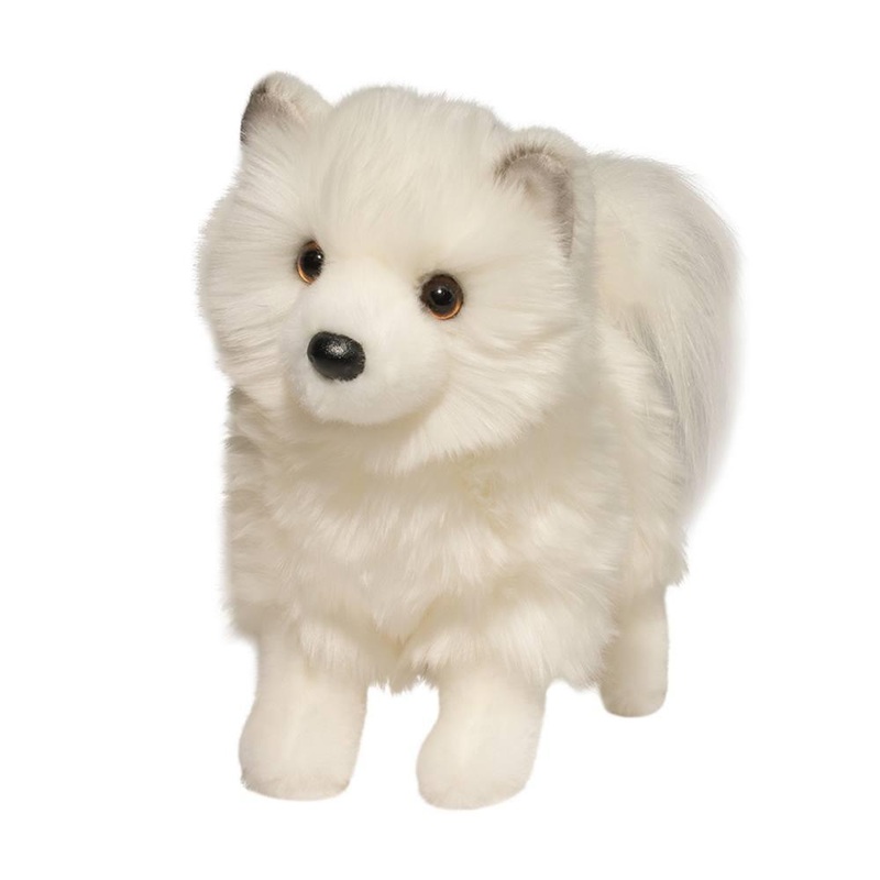Chien Pomsky Blanc Phoebe
