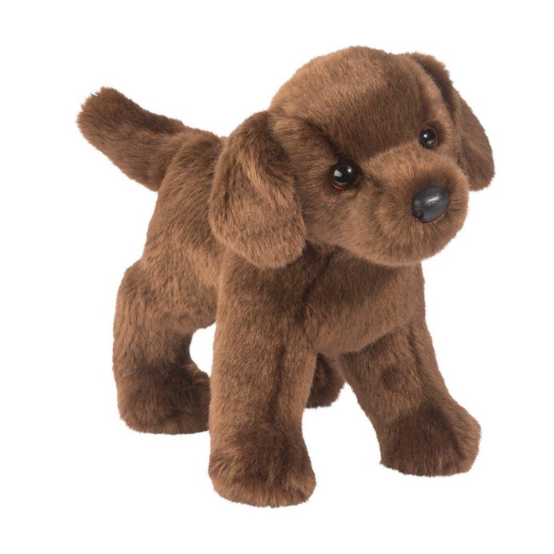 Chiot Labrador Chocolat Tucker