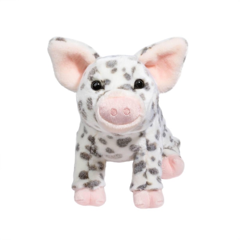 Cochon Tachet Pauline  Moyen