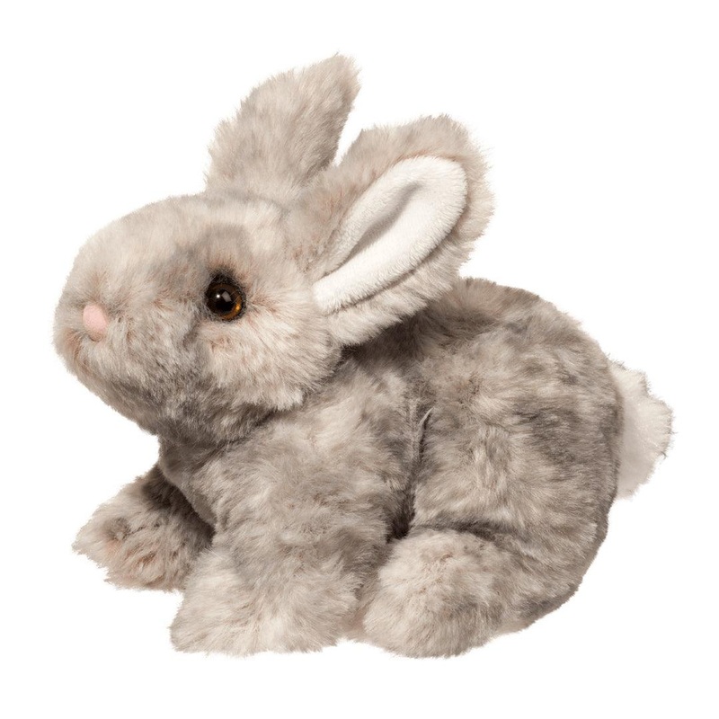 Lapin Gris Tyler