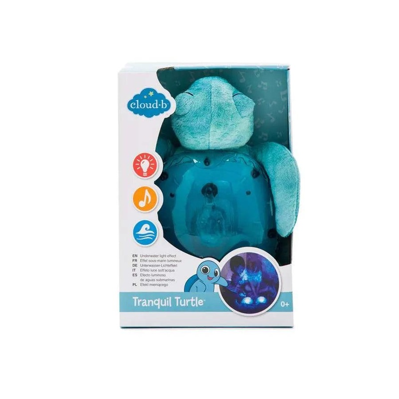 Tranquil Turtle - Aqua