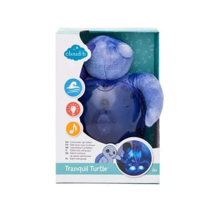 Tranquil Turtle - Ocan