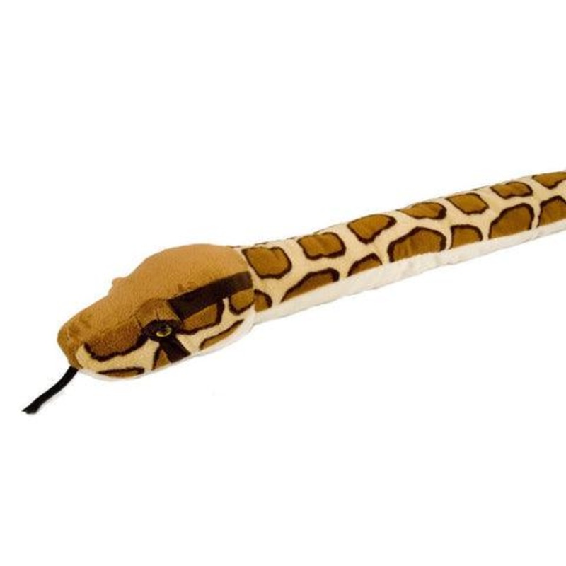 Python Birman